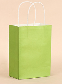 25 Green Shopping Bags 21x15x8cm - alt image 0