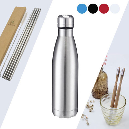 Stainless Steel Water Bottle, Straws, Bamboo Toothbrush